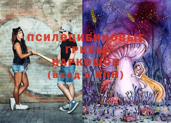 дурь Зерноград