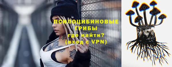 соль ск Зеленокумск