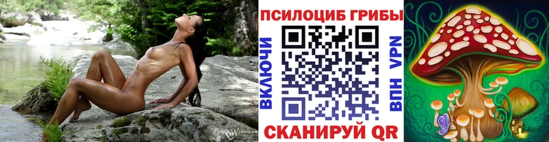 Купить где  Питкяранта  Псилоцибиновые грибы Psilocybe 